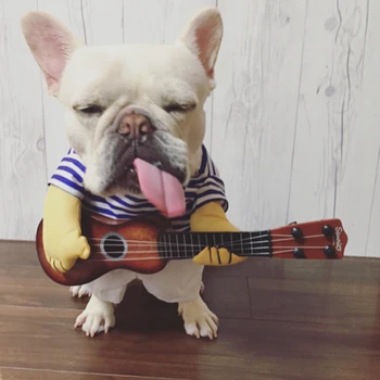 Къдрава перука и тениска в синьо райе с китара за вашето куче, костюм за куче