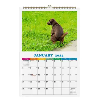 Календар какашек за кучета в 2024 година Забавен Календар за кучета Подаръци с кляпами Кучета, какающие на красиви места Календар на 2024 година Куче в 2024 година Окачен календар