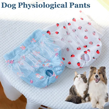Физиологични панталони за кучета, дрехи за памперси, еластично бельо, чорапогащи, шифоновые панталони за менструация със сладък куче и котка, стоки за домашни любимци